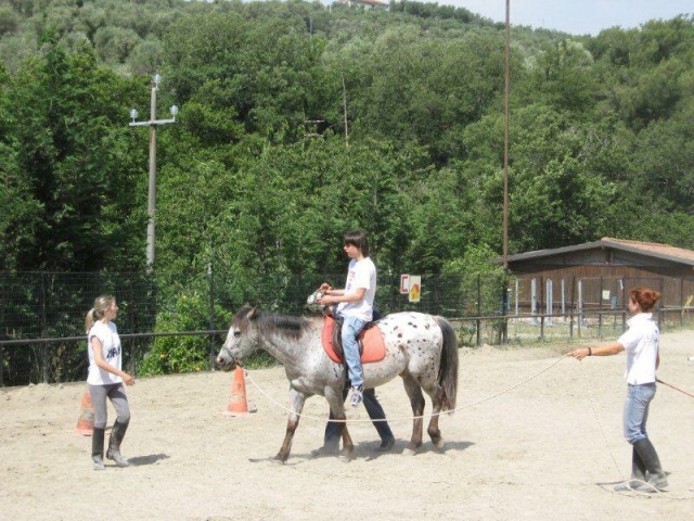 Riabilitazione con il cavallo